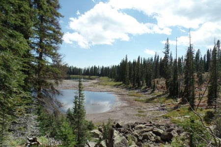 Escape to the Colorado Weir & Johnson Campground: Your Gateway to Adventure